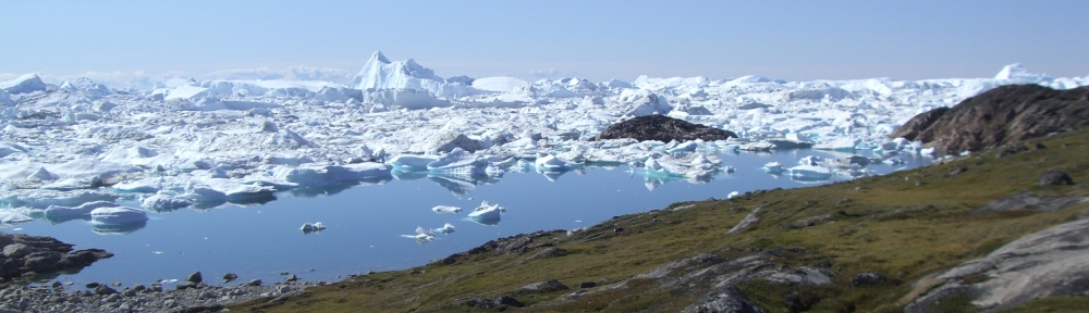 Welcome to Mountain Polar Bear Adventures!